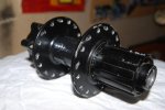 pavender 007.jpg