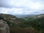 DSCN1229.JPG