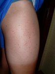 SL375372 (Large).JPG