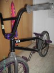PICT0521.jpg