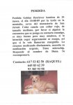 PERDIDA.jpg
