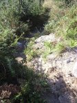 090815_foto1.jpg