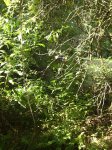 090815_foto10.jpg
