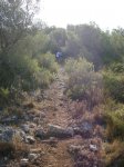 DSCN0973.jpg