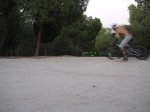 _7220360.jpg