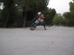 _7220362.jpg
