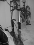 pbpic3741295.jpg
