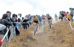 339890-bike2.jpg