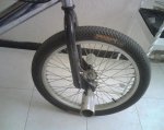 IMG00131.jpg