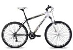 orbea sport.jpg