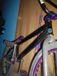 PICT0595.jpg