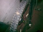 17082009_003.jpg
