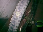 17082009_004.jpg