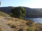 DSC00173.jpg