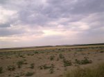 Imagen0077 (Medium).jpg