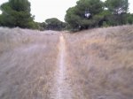Imagen0081 (Medium).jpg