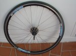 DSCN1422.jpg