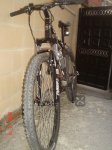 DSC04085.jpg
