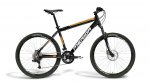 MATTS_50_D_BLACK_MANGO_2010.jpg