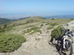 DSC03093.jpg