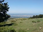 DSC03095.jpg