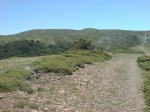DSC03096.jpg