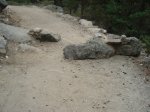 DSC02750.JPG