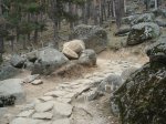 DSC02763.JPG
