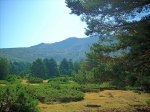 DSCN0157.jpg
