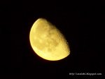 100_2855.JPG