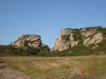 DSC04050.jpg