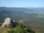 DSC04061.jpg