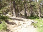 DSC00289-1.jpg