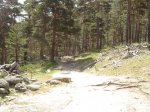 DSC00286-2.jpg