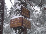 DSC00345-4.jpg