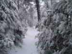 DSC00340-6.jpg