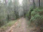 DSC01273.jpg