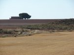 DSC01337.jpg