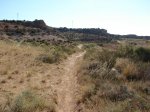 DSC01347.jpg