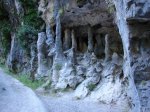 DSC01462.jpg