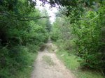 DSC01488.jpg