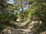 DSC01537.jpg