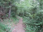 DSC01557.jpg