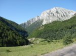 DSC01585.jpg