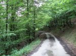 DSC01607.jpg