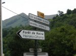 DSC01608.jpg