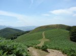 DSC01617.jpg