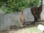 DSC01634.jpg