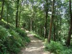 DSC01650.jpg