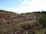 DSC00232.jpg